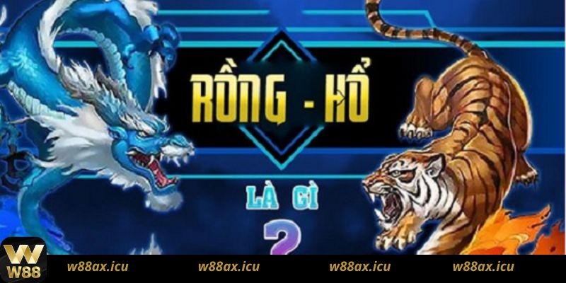 Các Thuật Ngữ Liên Quan Đến Game Rồng Hổ Online